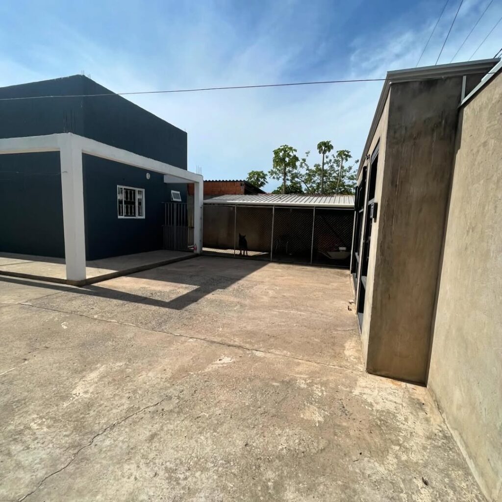 SaveClip.App_599290214_18196082068336581_815377438520149743_n